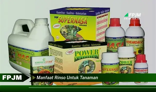 manfaat rinso untuk tanaman