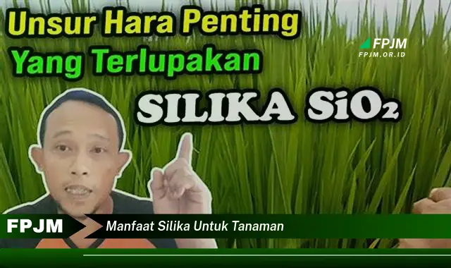 manfaat silika untuk tanaman