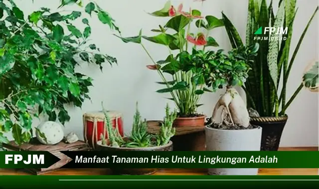 manfaat tanaman hias untuk lingkungan adalah