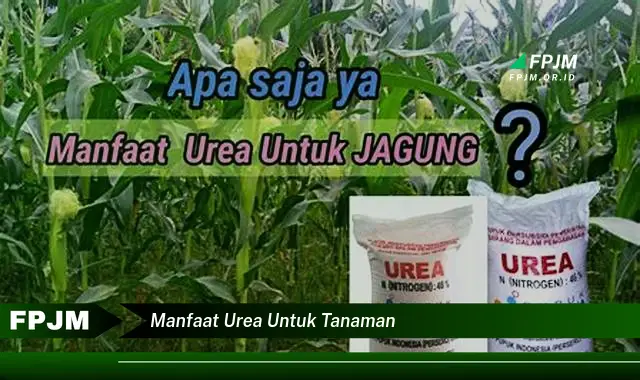 manfaat urea untuk tanaman