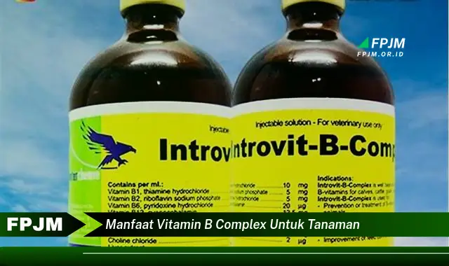 manfaat vitamin b complex untuk tanaman