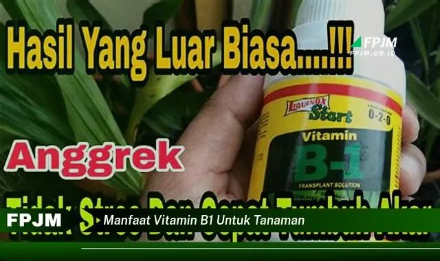 manfaat vitamin b1 untuk tanaman