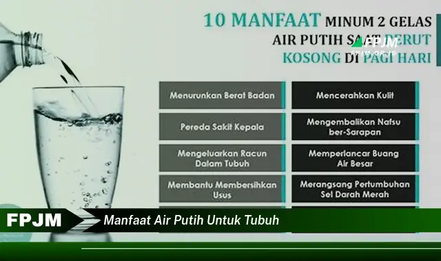 manfaat air putih untuk tubuh manfaat air putih untuk tubuh