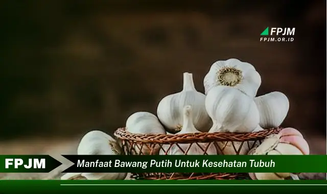 manfaat bawang putih untuk kesehatan tubuh manfaat bawang putih untuk kesehatan tubuh