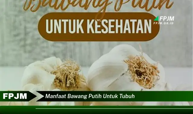 manfaat bawang putih untuk tubuh