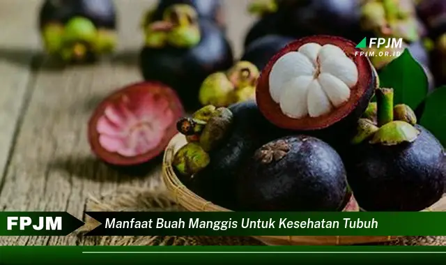 manfaat buah manggis untuk kesehatan tubuh