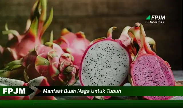 manfaat buah naga untuk tubuh