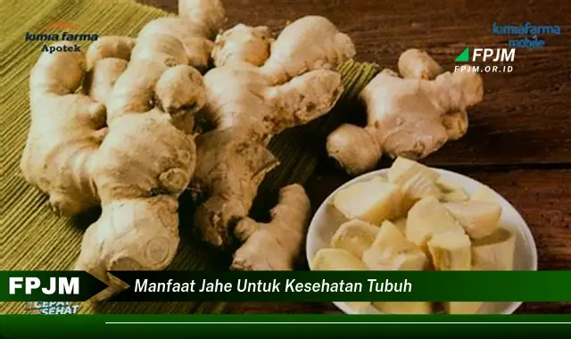 manfaat jahe untuk kesehatan tubuh