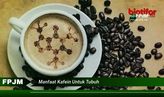 manfaat kafein untuk tubuh manfaat kafein untuk tubuh