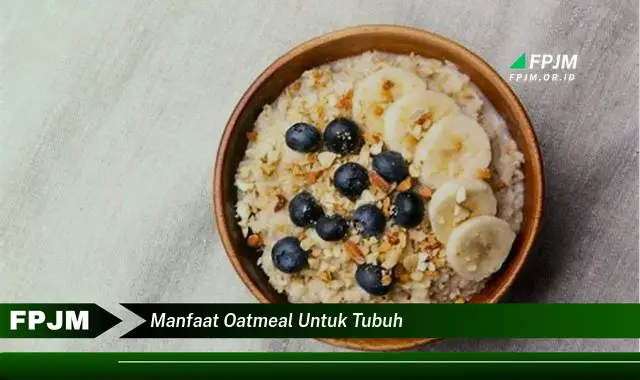 manfaat oatmeal untuk tubuh