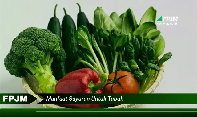 manfaat sayuran untuk tubuh manfaat sayuran untuk tubuh