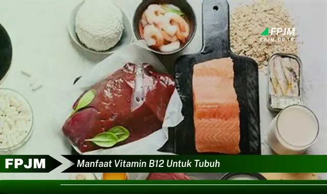 manfaat vitamin b12 untuk tubuh manfaat vitamin b12 untuk tubuh