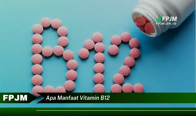 apa manfaat vitamin b12