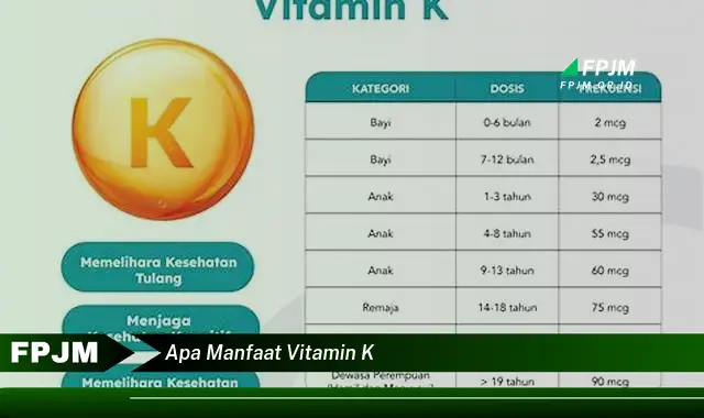 apa manfaat vitamin k