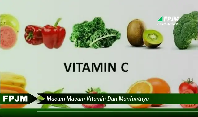 macam macam vitamin dan manfaatnya