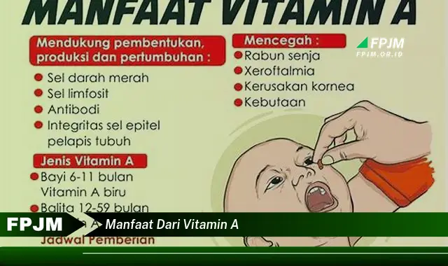 manfaat dari vitamin a