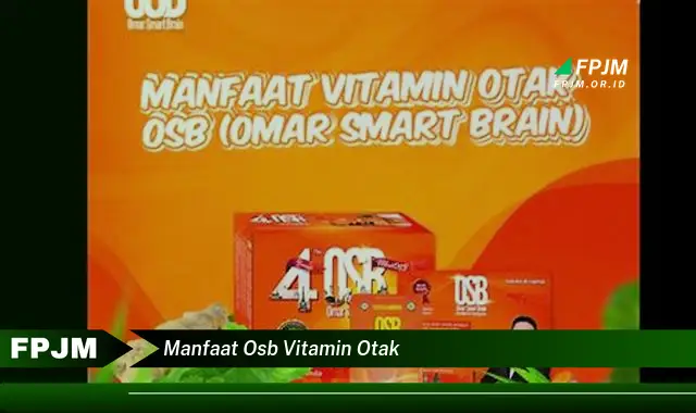 manfaat osb vitamin otak