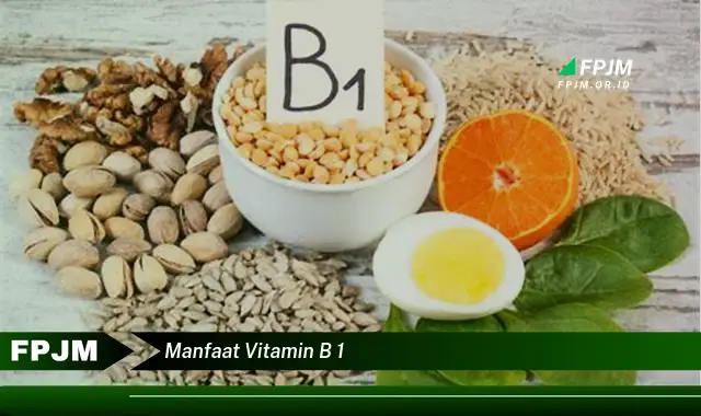 manfaat vitamin b 1