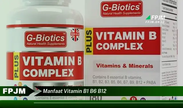 manfaat vitamin b1 b6 b12