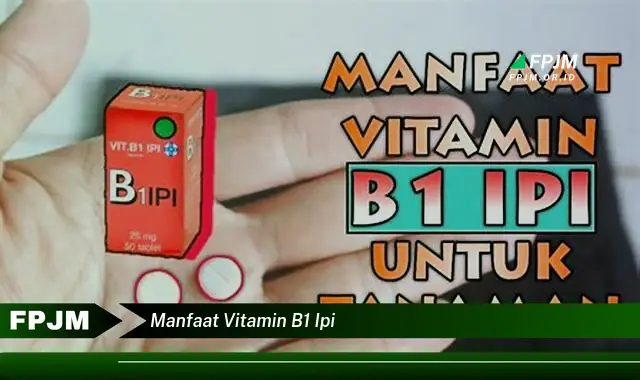 manfaat vitamin b1 ipi