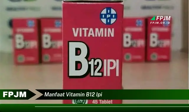 manfaat vitamin b12 ipi