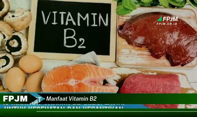 manfaat vitamin b2