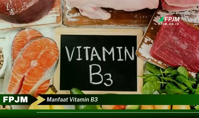 manfaat vitamin b3