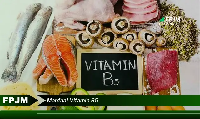 manfaat vitamin b5