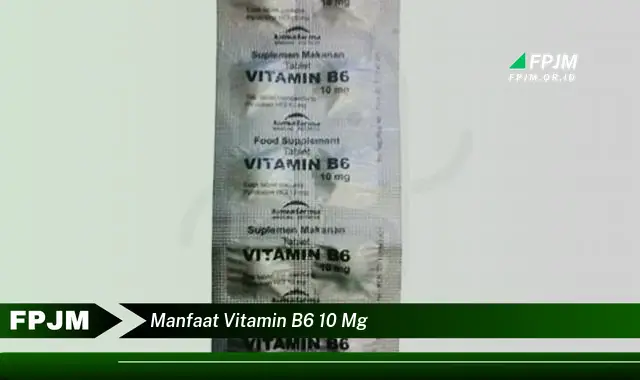 manfaat vitamin b6 10 mg