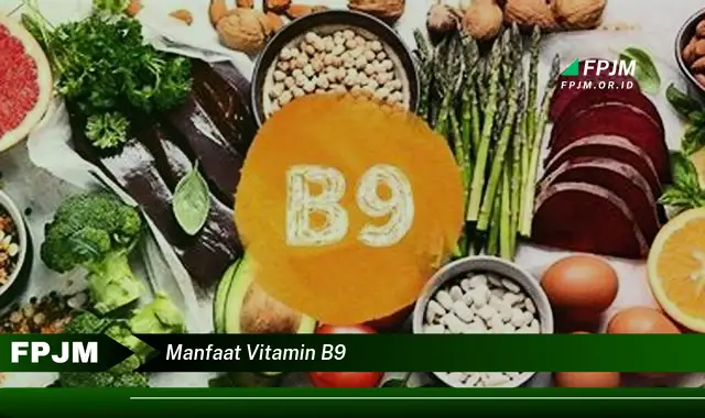 manfaat vitamin b9