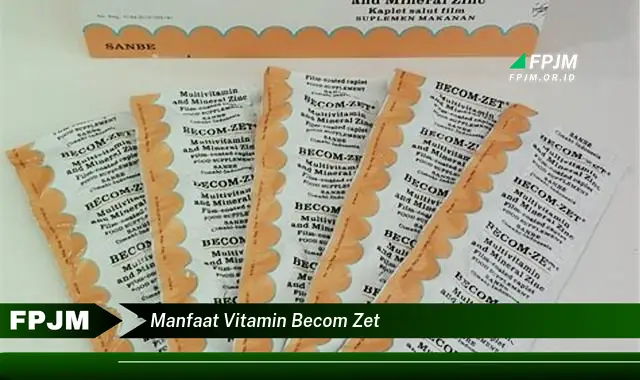 manfaat vitamin becom zet