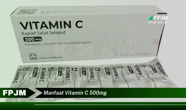 manfaat vitamin c 500mg