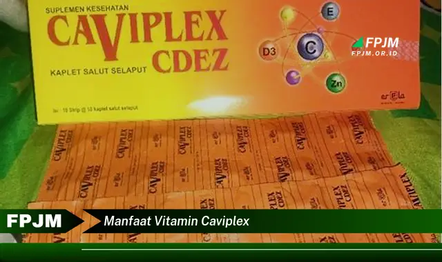 manfaat vitamin caviplex