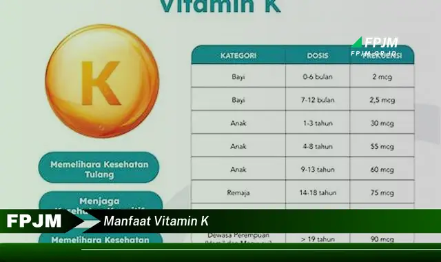 manfaat vitamin k