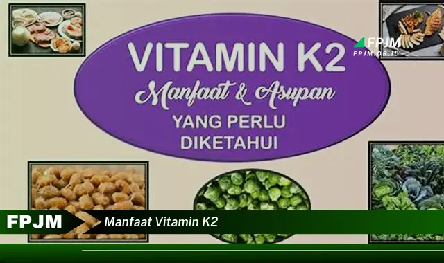 manfaat vitamin k2