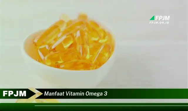 manfaat vitamin omega 3