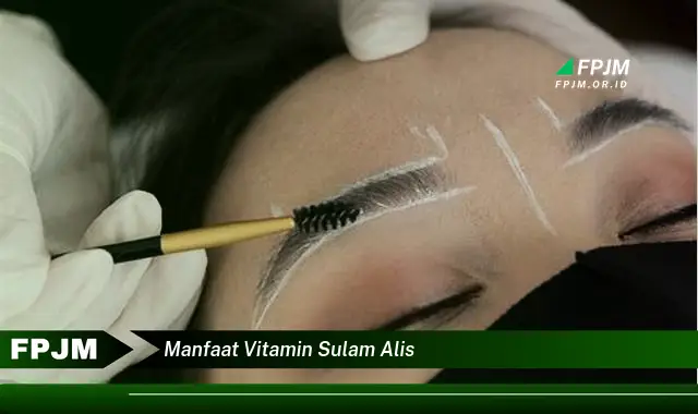 manfaat vitamin sulam alis