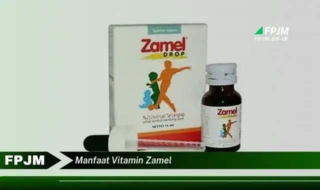 manfaat vitamin zamel