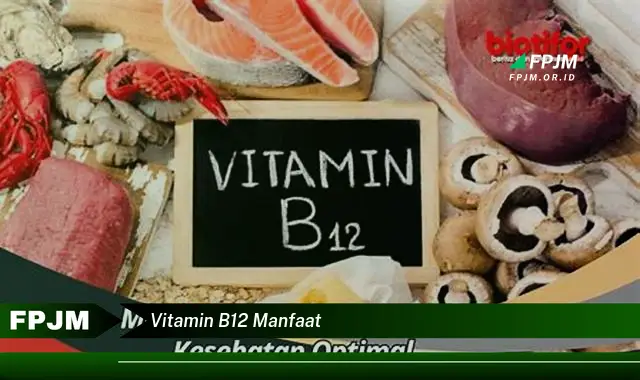 vitamin b12 manfaat