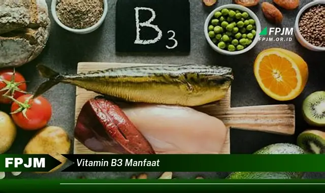 vitamin b3 manfaat