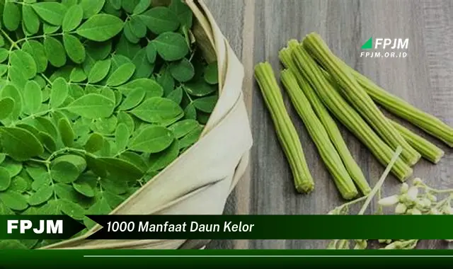 1000 manfaat daun kelor