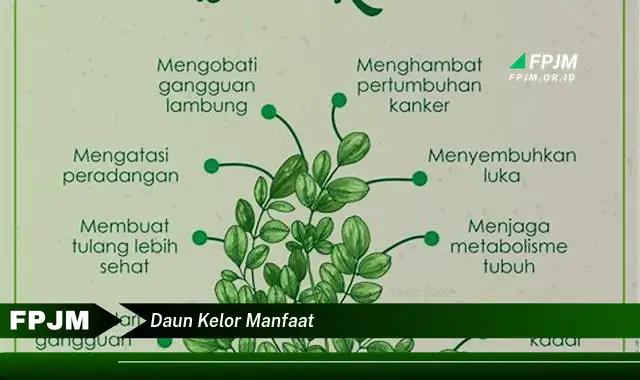 daun kelor manfaat