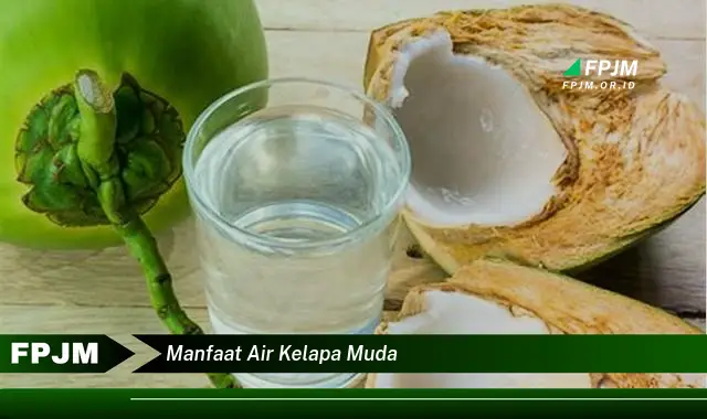 manfaat air kelapa muda