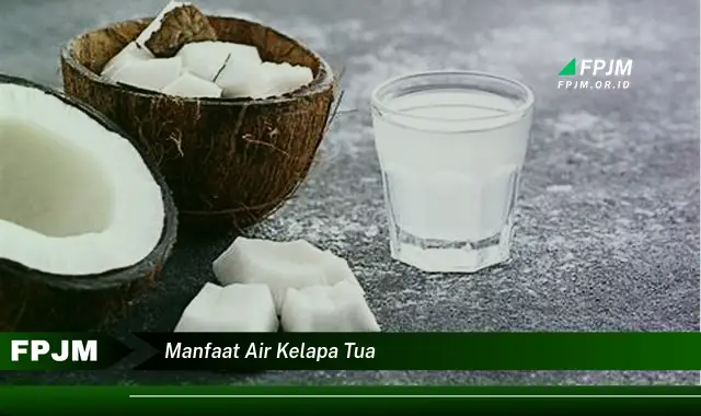 manfaat air kelapa tua