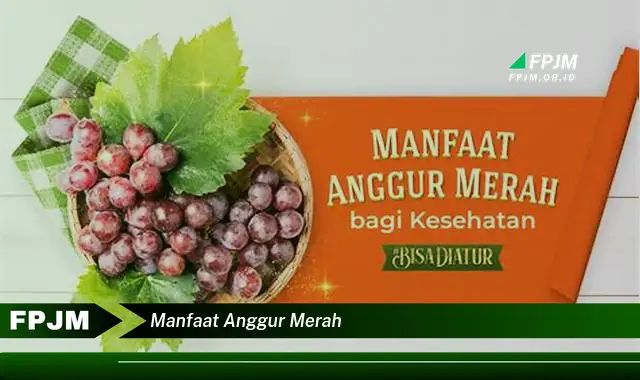 manfaat anggur merah