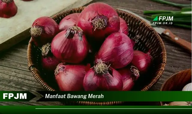 manfaat bawang merah