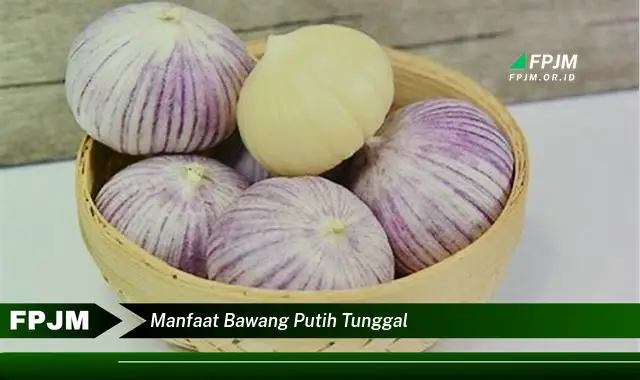 manfaat bawang putih tunggal