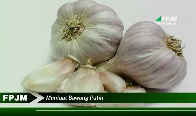 manfaat bawang putih