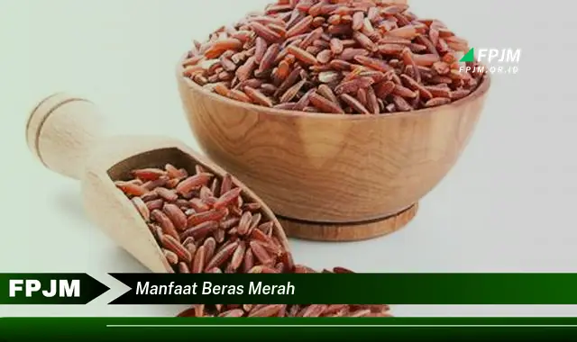 manfaat beras merah