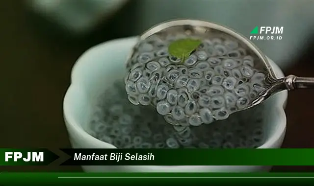 manfaat biji selasih